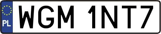 WGM1NT7