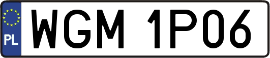 WGM1P06