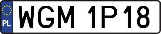 WGM1P18