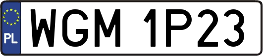 WGM1P23