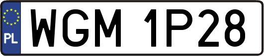 WGM1P28