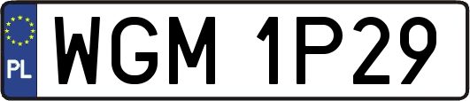WGM1P29