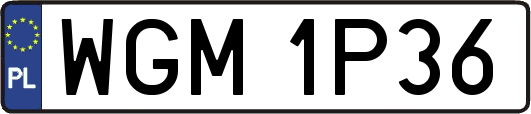 WGM1P36