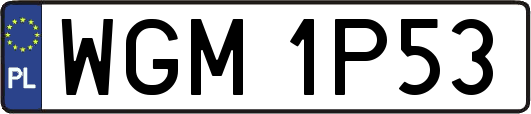 WGM1P53
