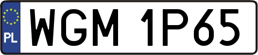 WGM1P65