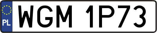 WGM1P73