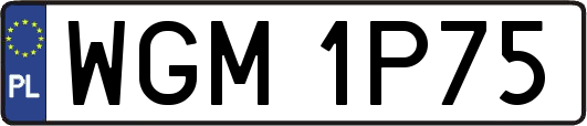 WGM1P75
