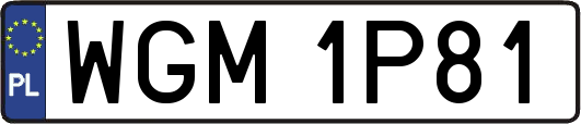 WGM1P81