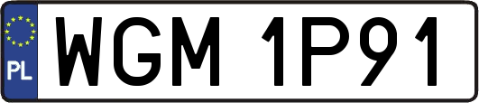 WGM1P91