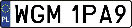 WGM1PA9