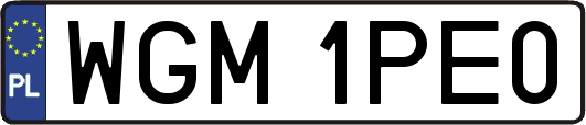 WGM1PE0