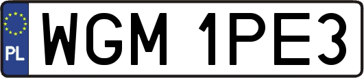 WGM1PE3