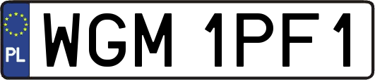 WGM1PF1