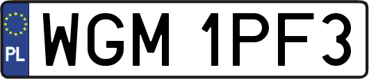 WGM1PF3