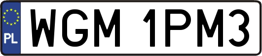 WGM1PM3