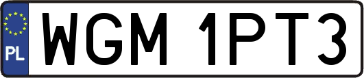 WGM1PT3
