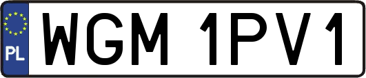 WGM1PV1