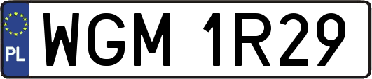 WGM1R29