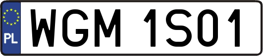 WGM1S01