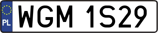 WGM1S29