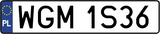 WGM1S36