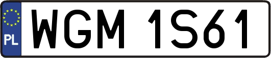 WGM1S61