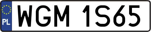 WGM1S65