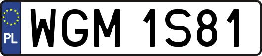 WGM1S81