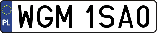 WGM1SA0
