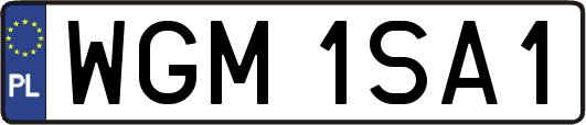WGM1SA1