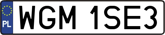WGM1SE3