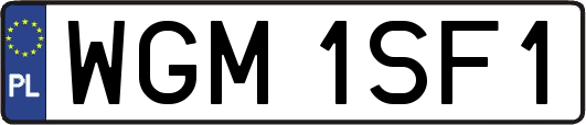 WGM1SF1