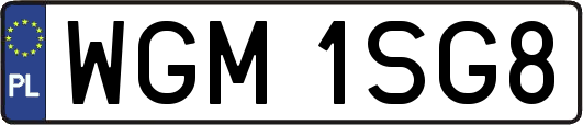 WGM1SG8