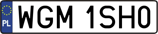 WGM1SH0