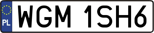WGM1SH6