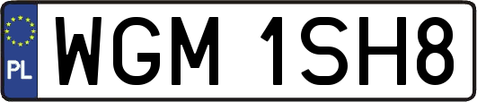 WGM1SH8