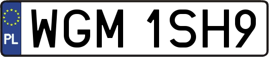 WGM1SH9