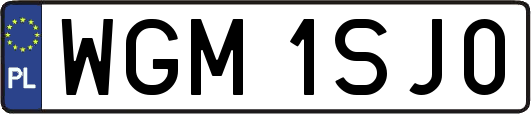 WGM1SJ0