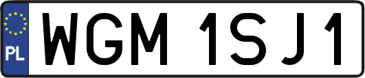 WGM1SJ1