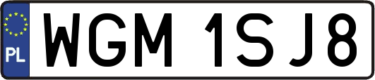 WGM1SJ8