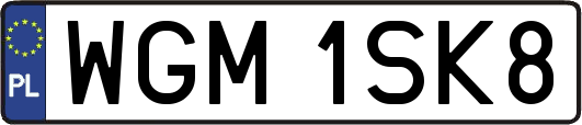 WGM1SK8