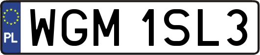 WGM1SL3