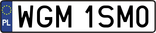 WGM1SM0