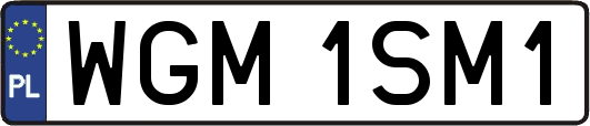 WGM1SM1