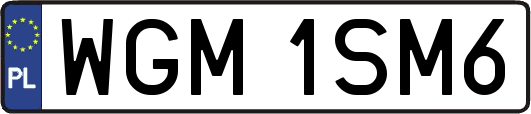 WGM1SM6