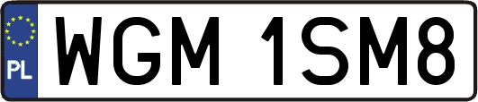 WGM1SM8