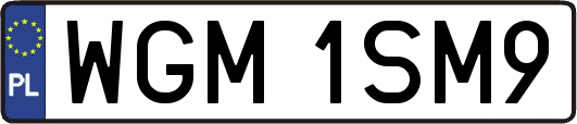WGM1SM9