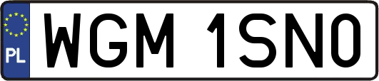 WGM1SN0