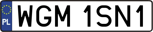 WGM1SN1
