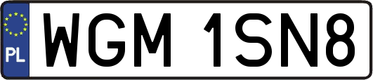 WGM1SN8